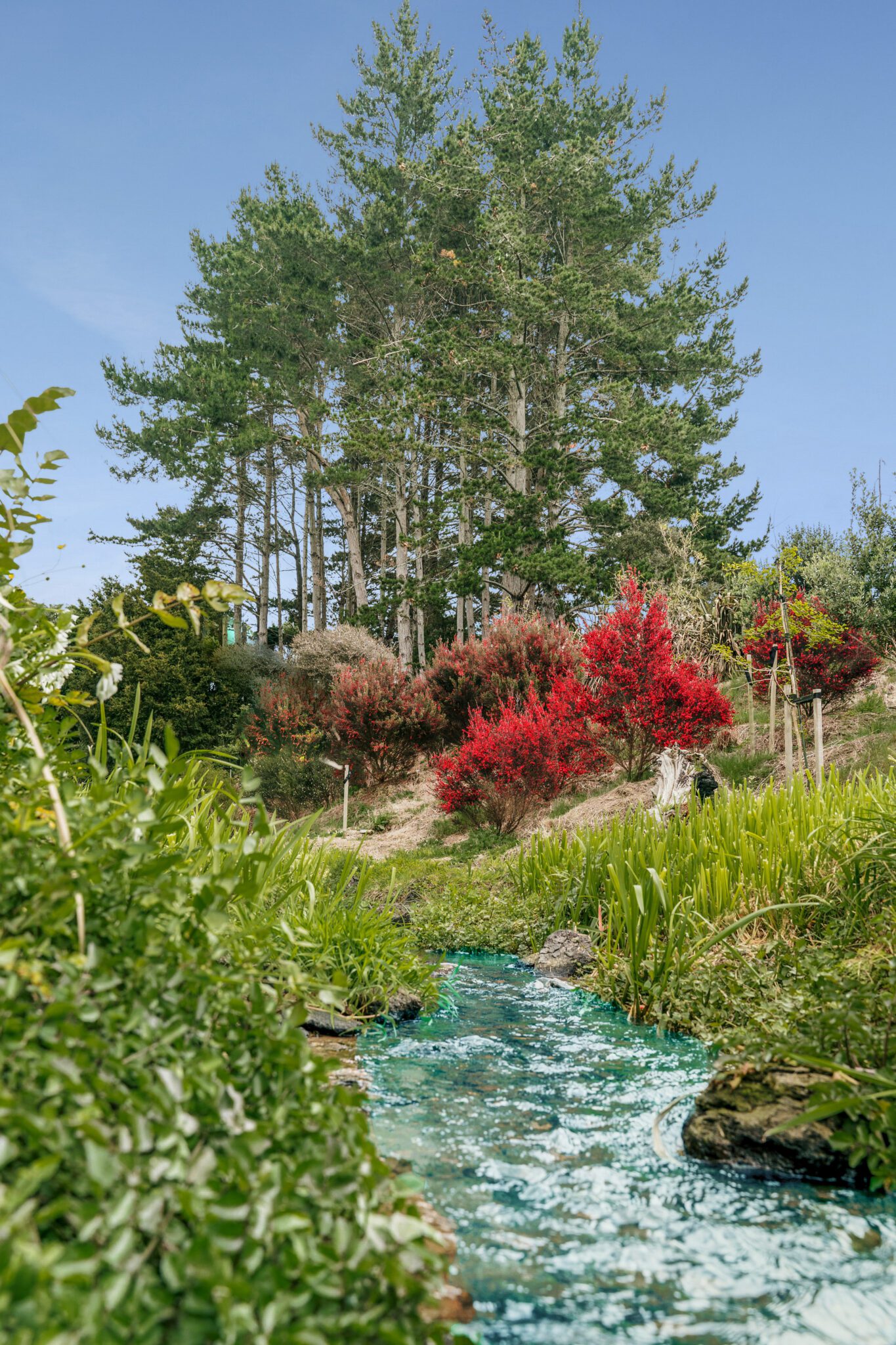 Paerata Rise gallery image