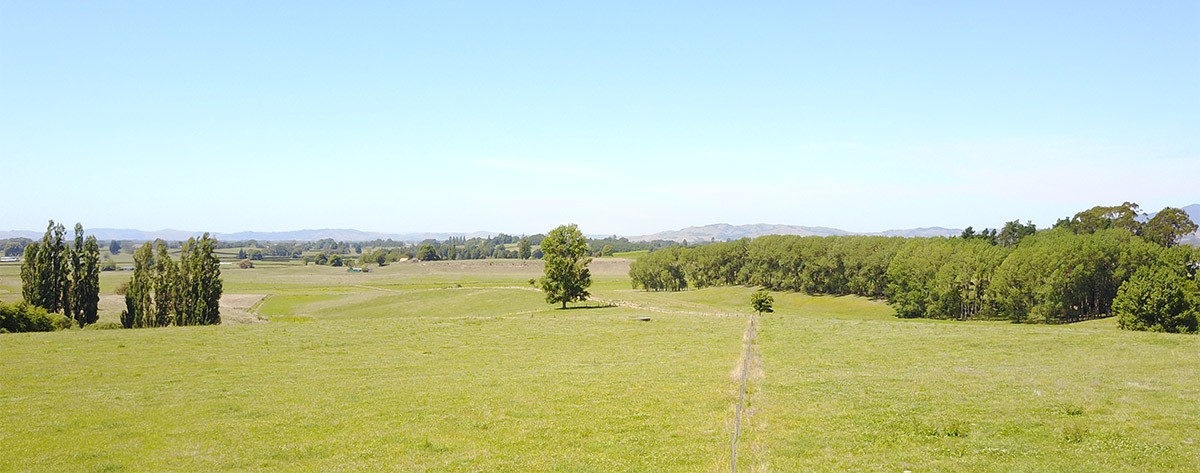 Thorncombe Park gallery image