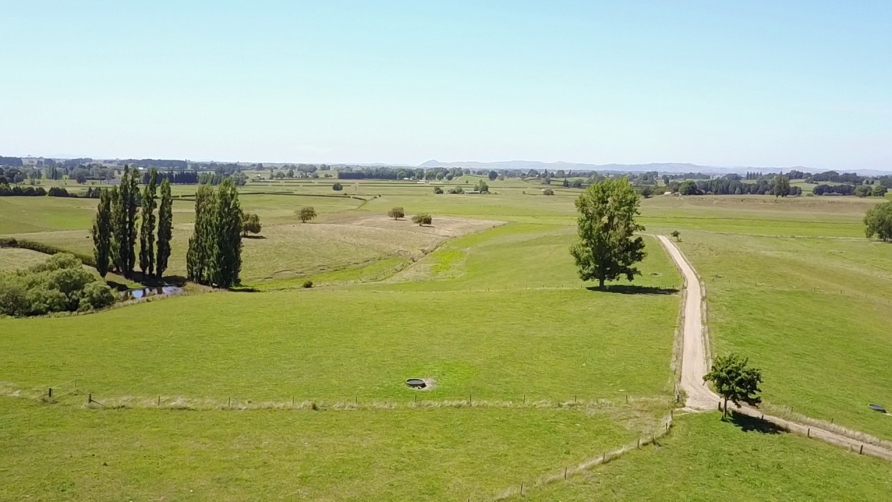 Thorncombe Park gallery image