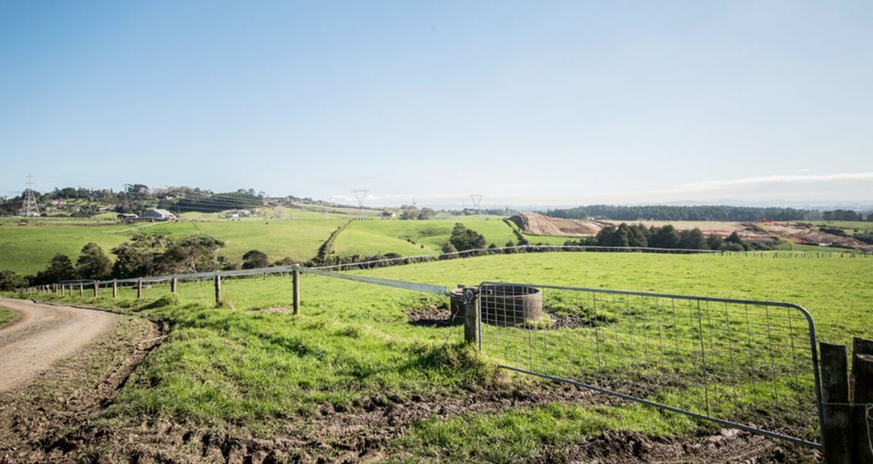 Murphys Park gallery image