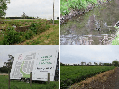 Spring Grove gallery image