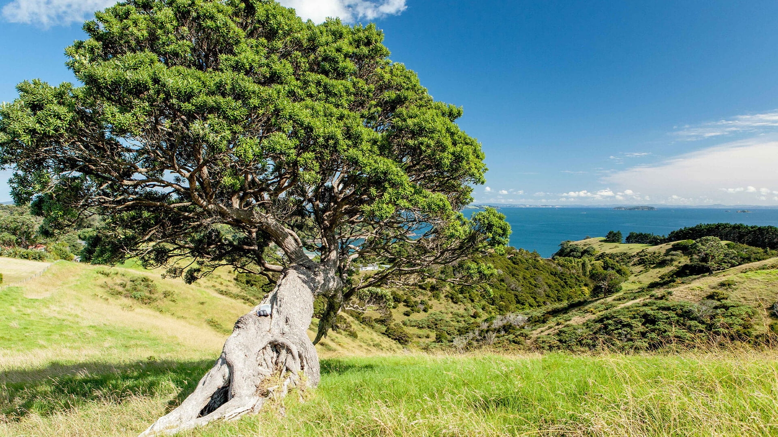 Wawata Estate gallery image