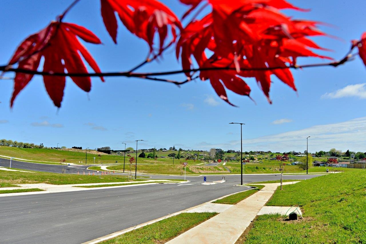 Waikare Estate gallery image