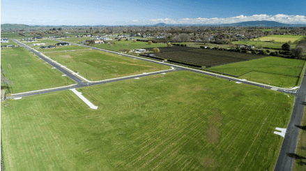 Pukekura - The Oaks Stud gallery image