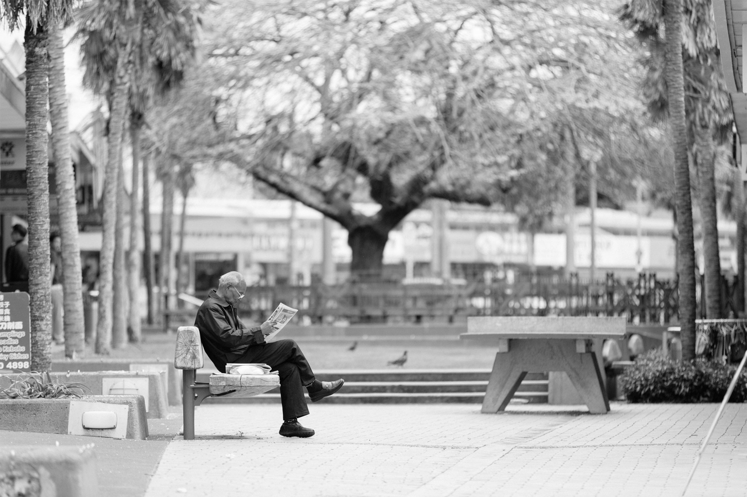 Northcote Development gallery image