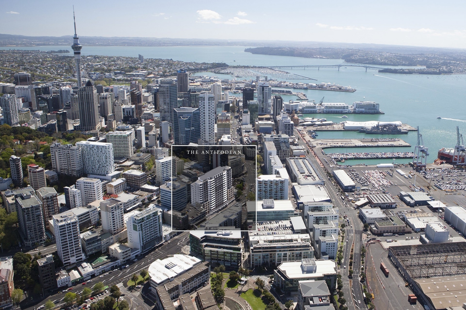 The Antipodean gallery image