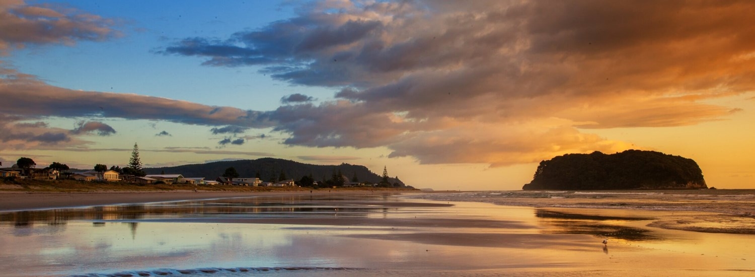 Otahu Heights gallery image