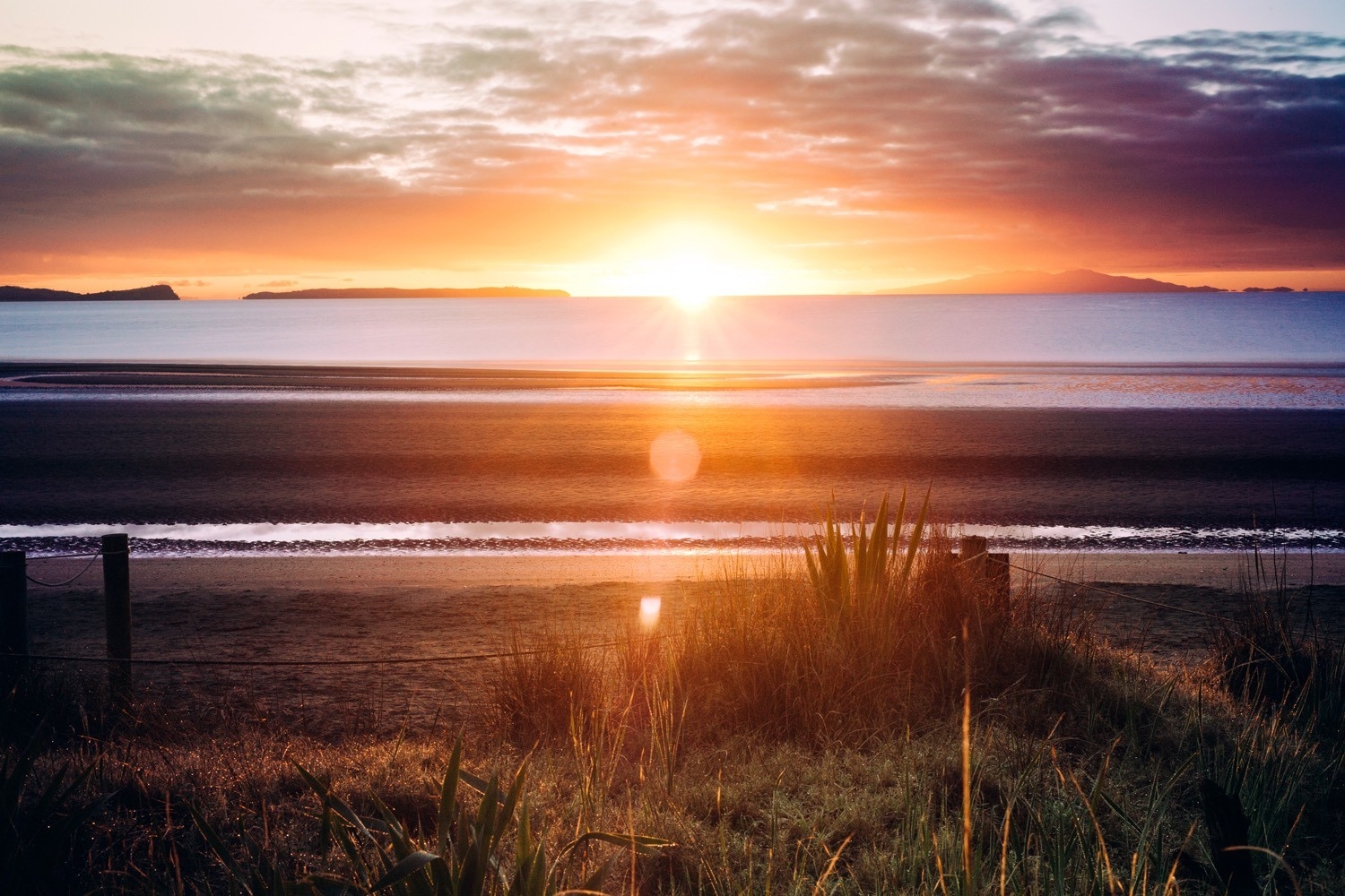 O.K.L.A. gallery image