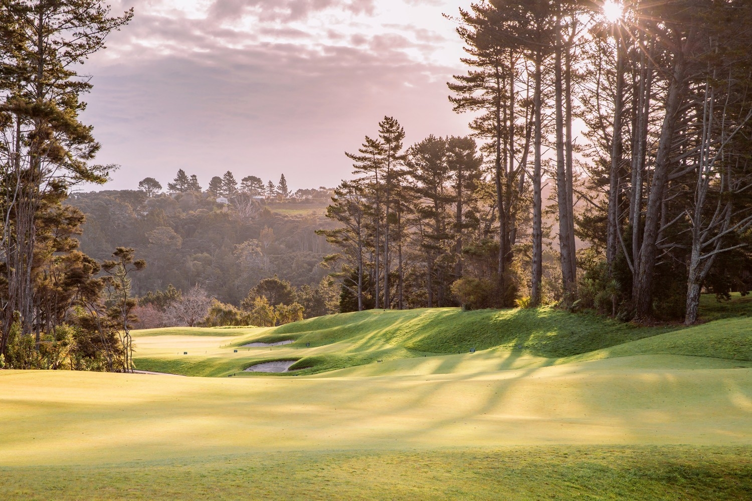 O.K.L.A. gallery image