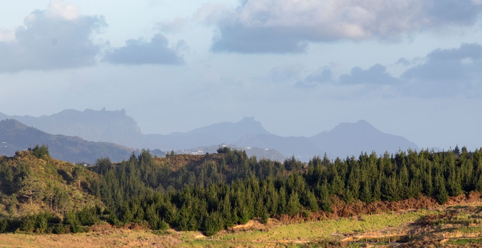 Kotata Heights gallery image