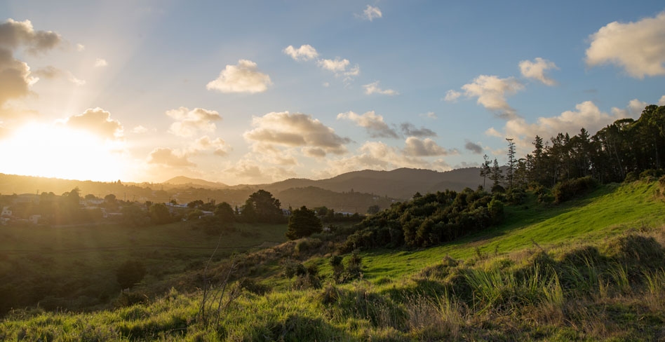 Kotata Heights gallery image