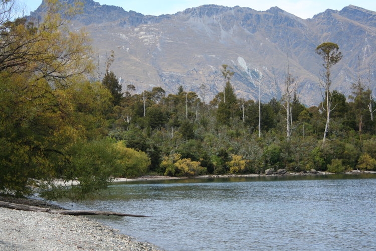 Glen Tui Heights gallery image