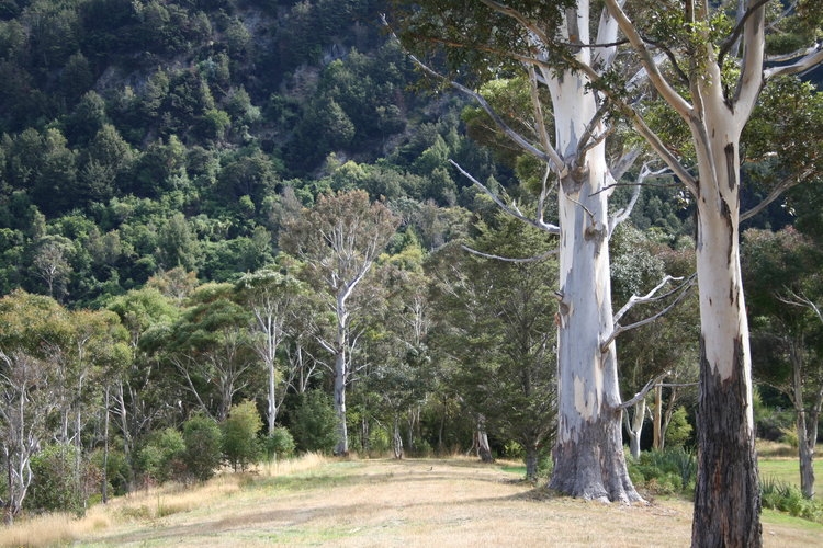 Glen Tui Heights gallery image