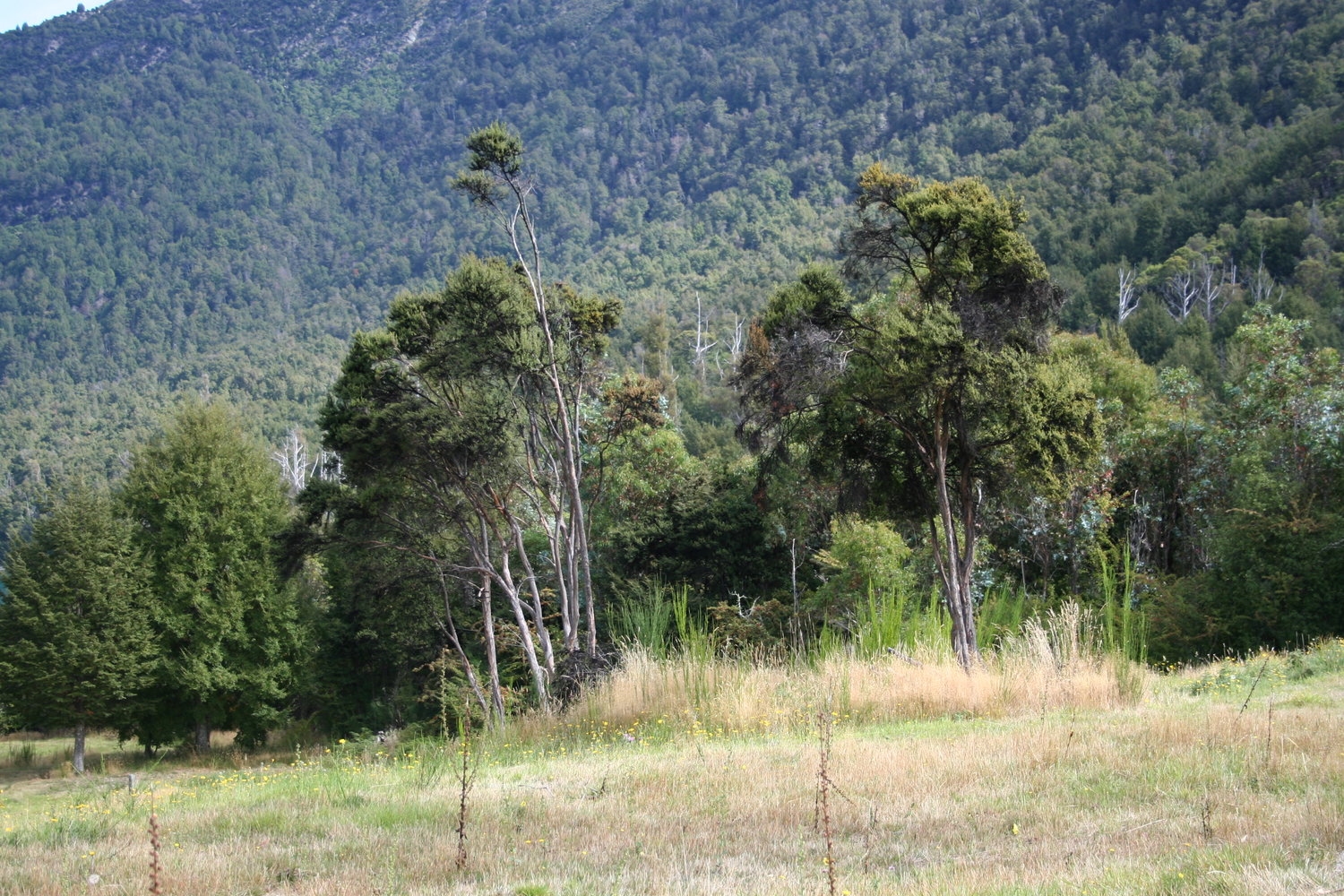 Glen Tui Heights gallery image