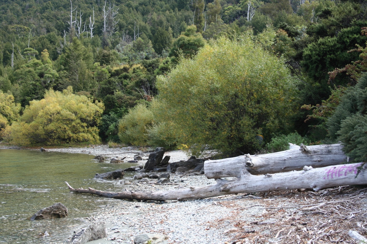 Glen Tui Heights gallery image