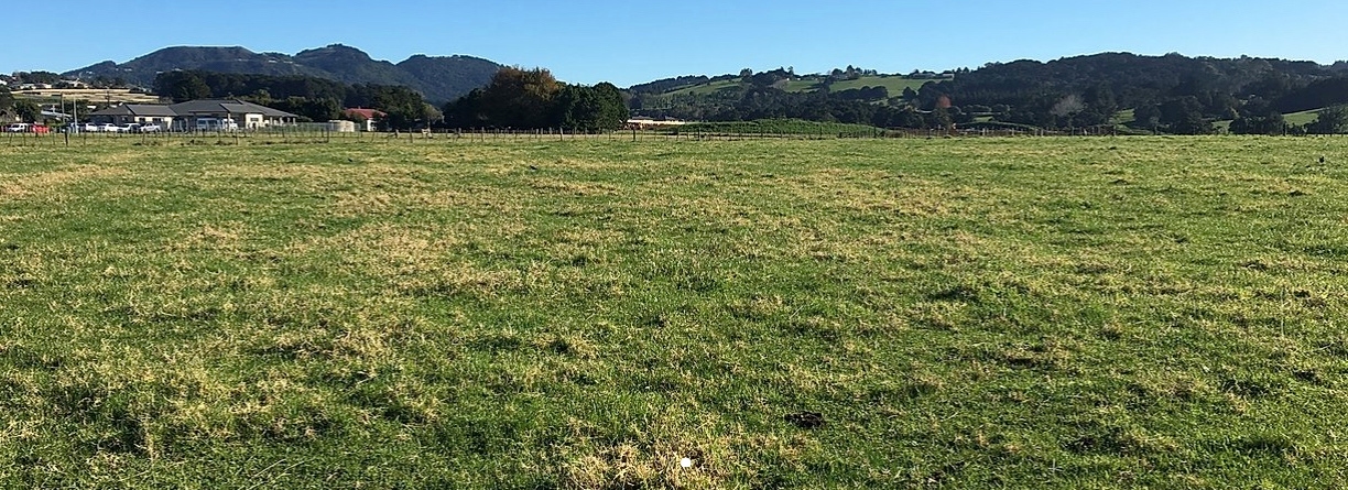 Tiaki Rise gallery image