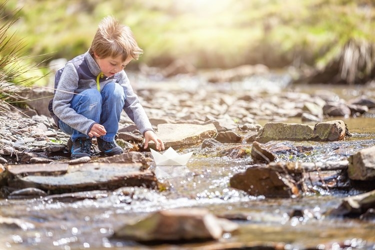 Three Creeks Estate gallery image