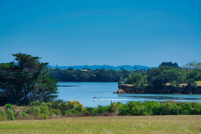 Lot 247 The Spring Release cover image